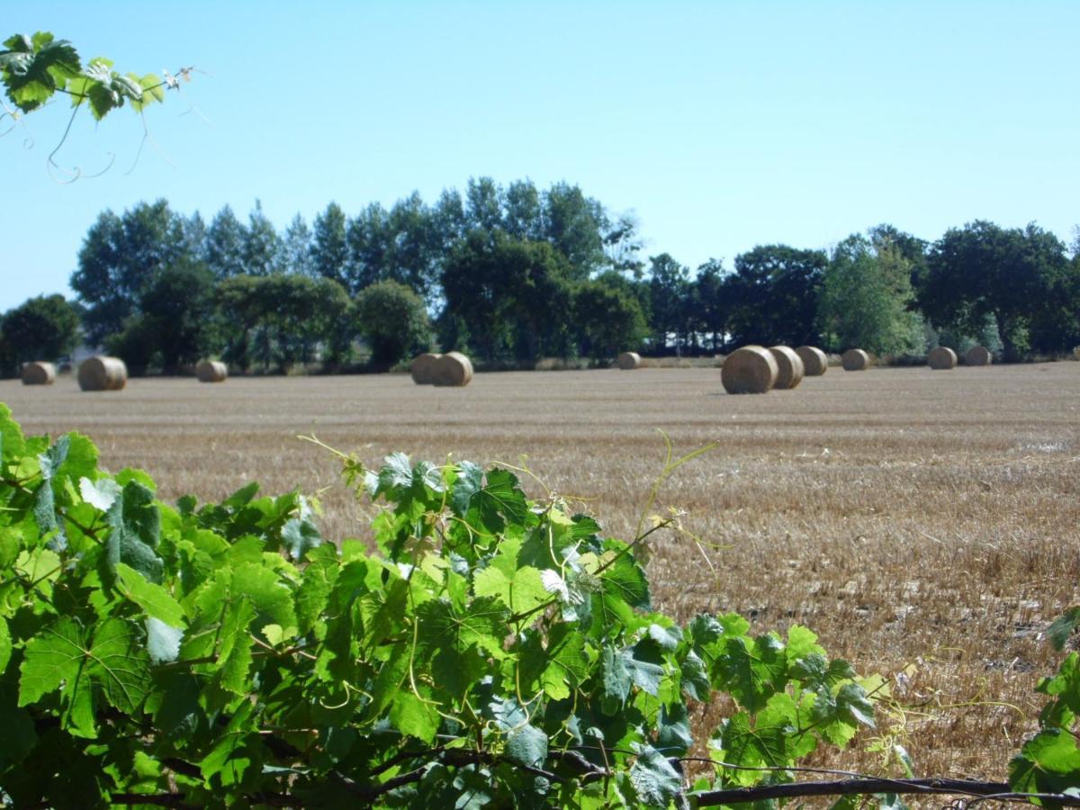 Gite A La Ferme En Pleine Nature エクステリア 写真